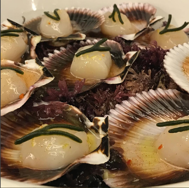 volandeiras agripicantes