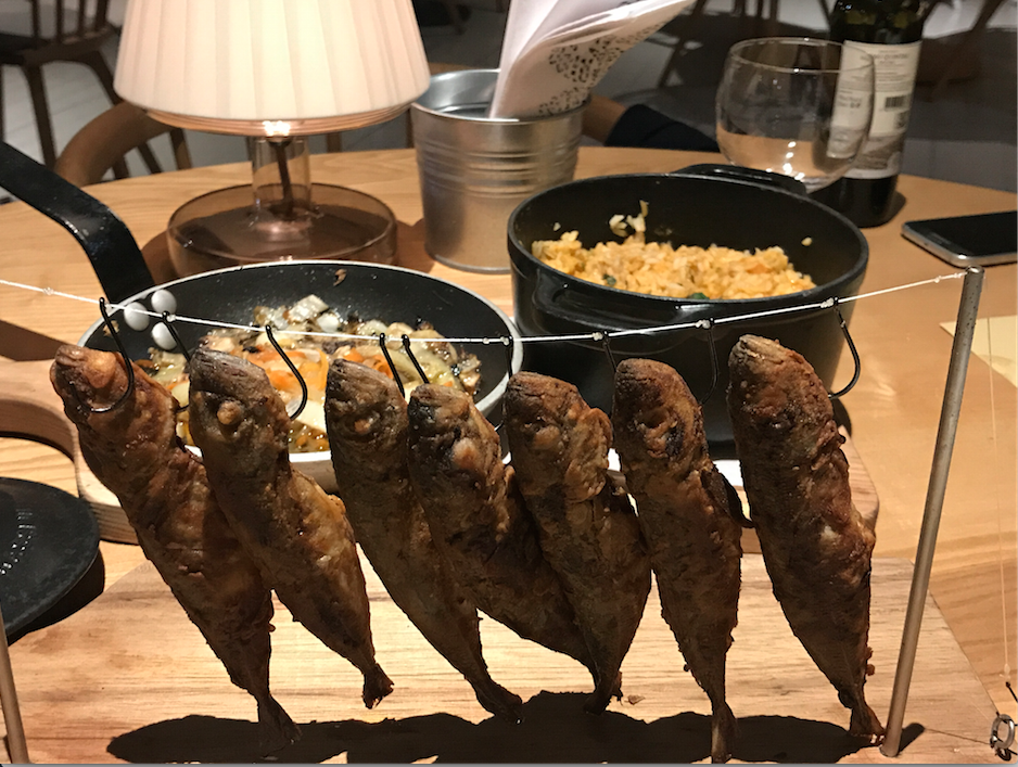 #a terra…en portugal